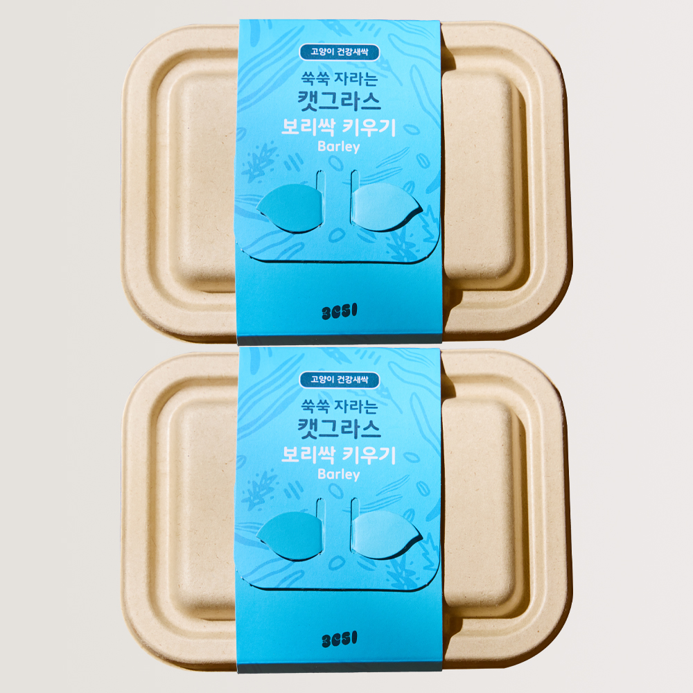 3651 쑥쑥 자라는 캣그라스 키우기 키트 재배세트 보리싹, 160g, 2개 - 메인 이미지