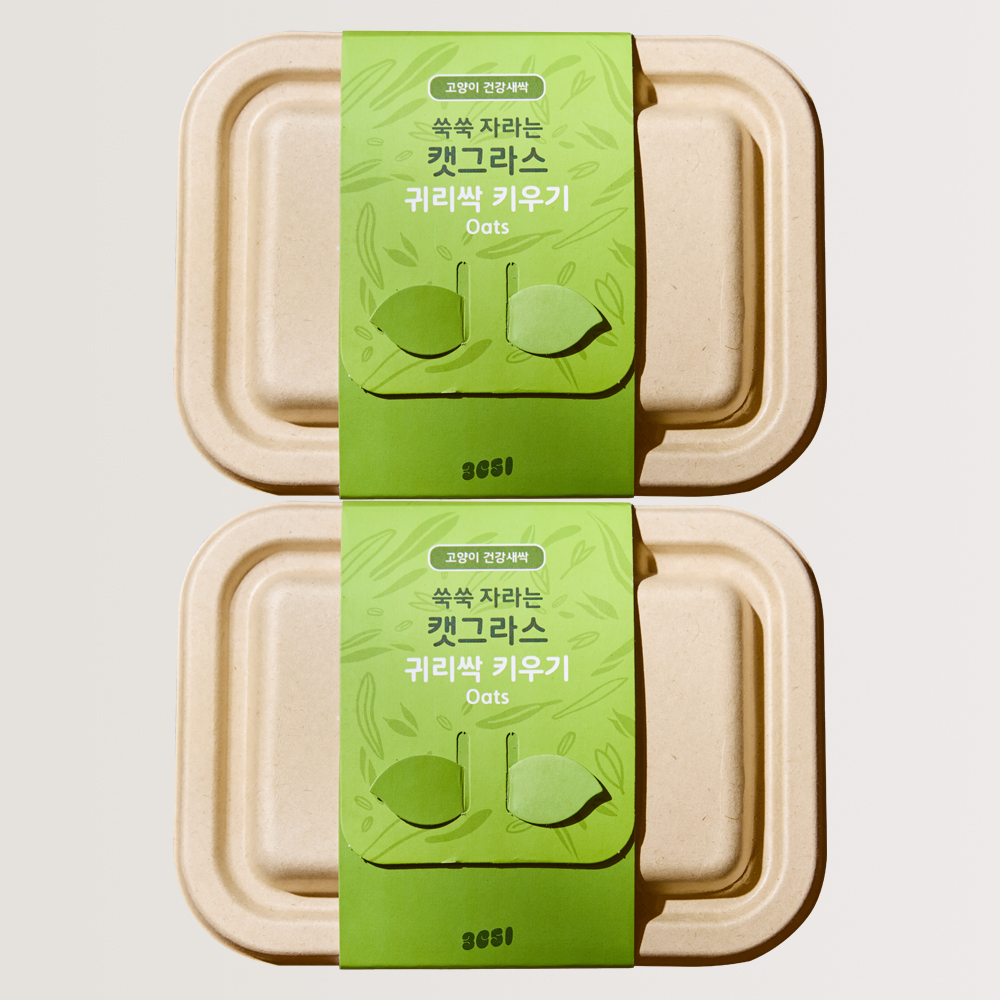 3651 쑥쑥 자라는 캣그라스 키우기 키트 재배세트 귀리싹, 160g, 2개 - 메인 이미지
