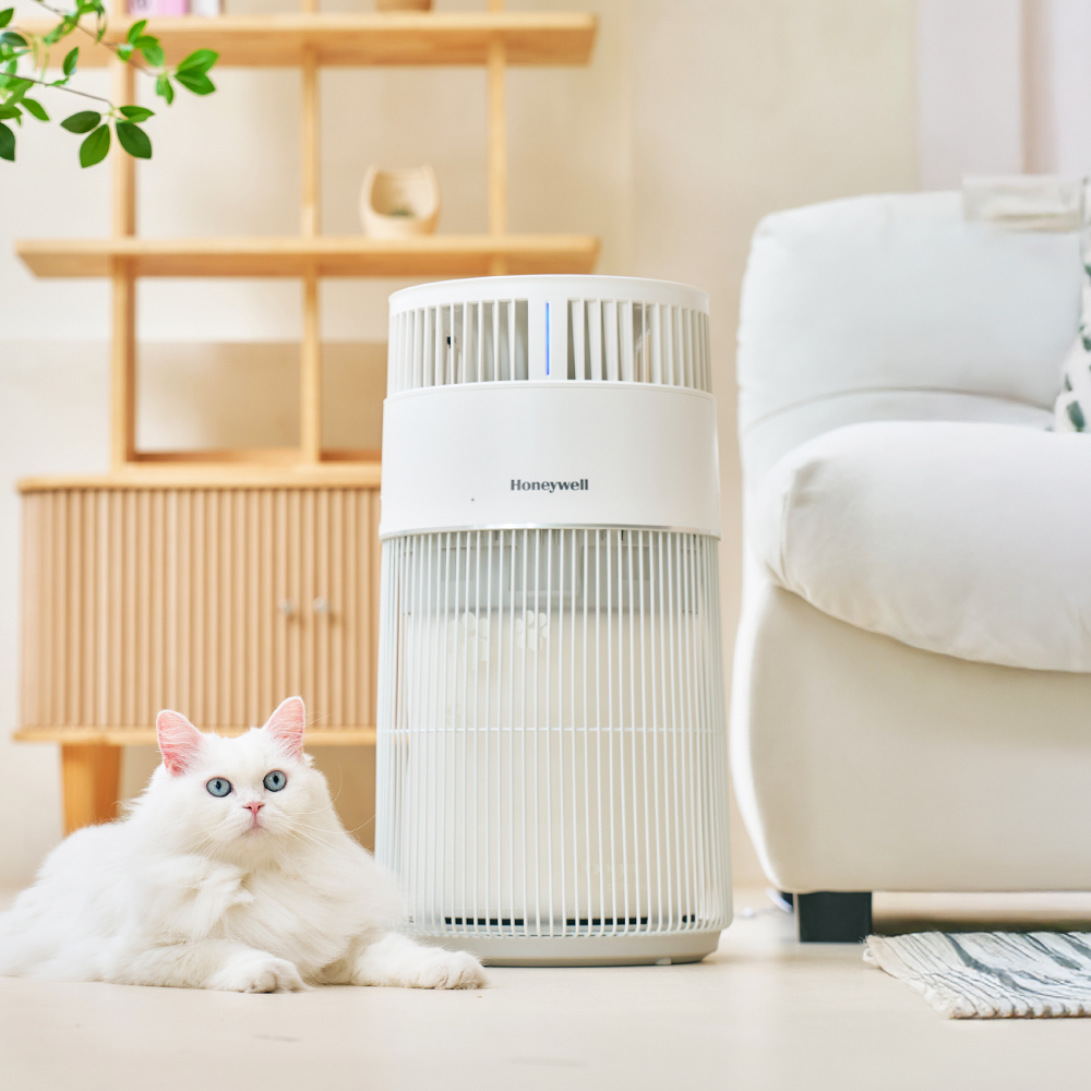 하니웰 펫 공기청정기 고양이 털 냄새 알레르기 제거 HEPA필터 가정용 음이온 소형 공청기