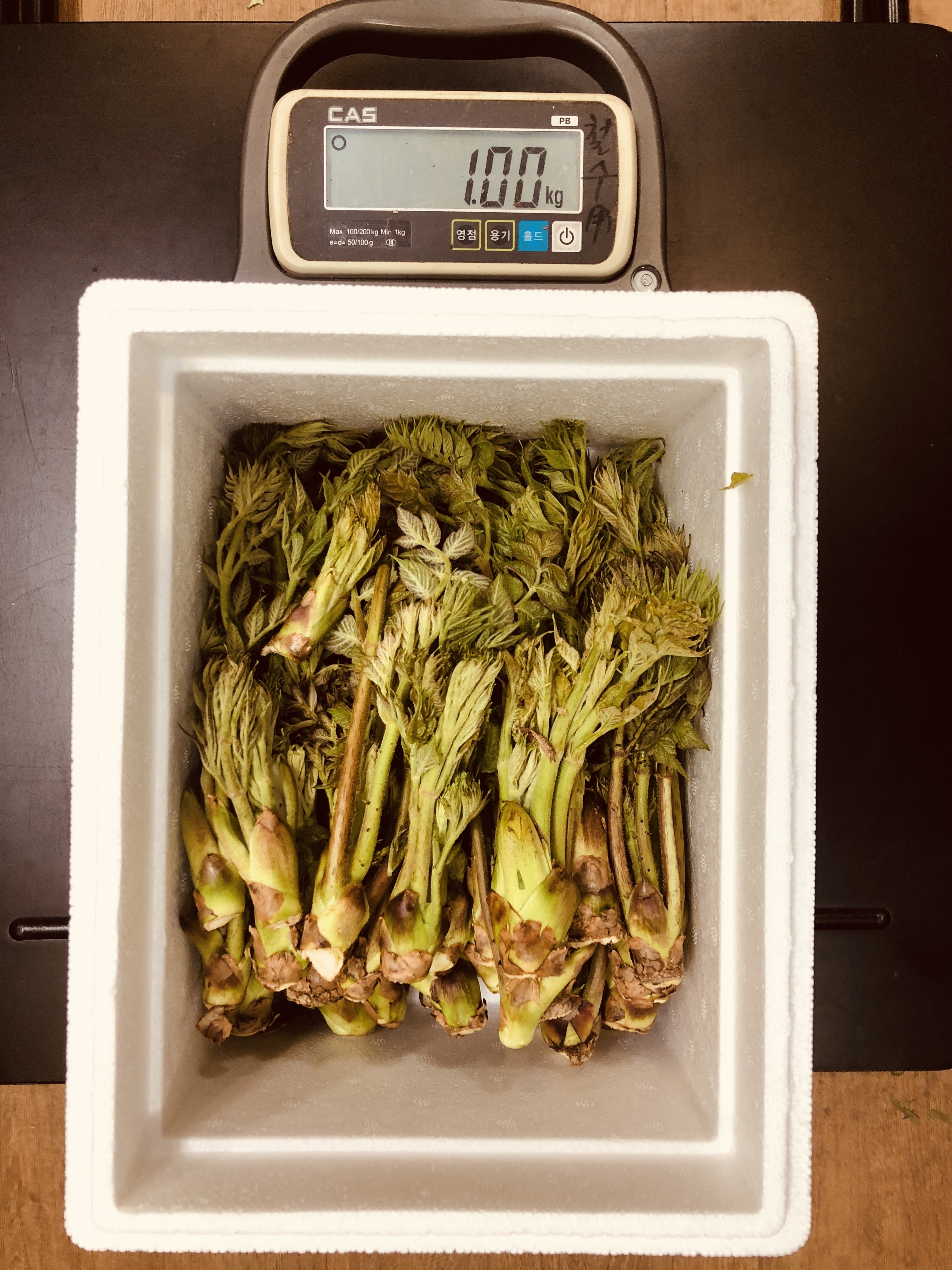 평창 자연산 두릅 참두릅 개두릅 엄나무순 1kg 이미지 7