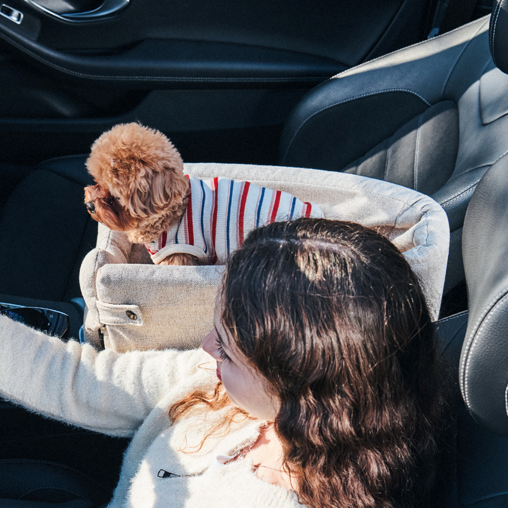 개과천선 루니 강아지 콘솔 카시트 소파지 드라이빙킷 풀커버 차시트 이동장 소형견 이동가방