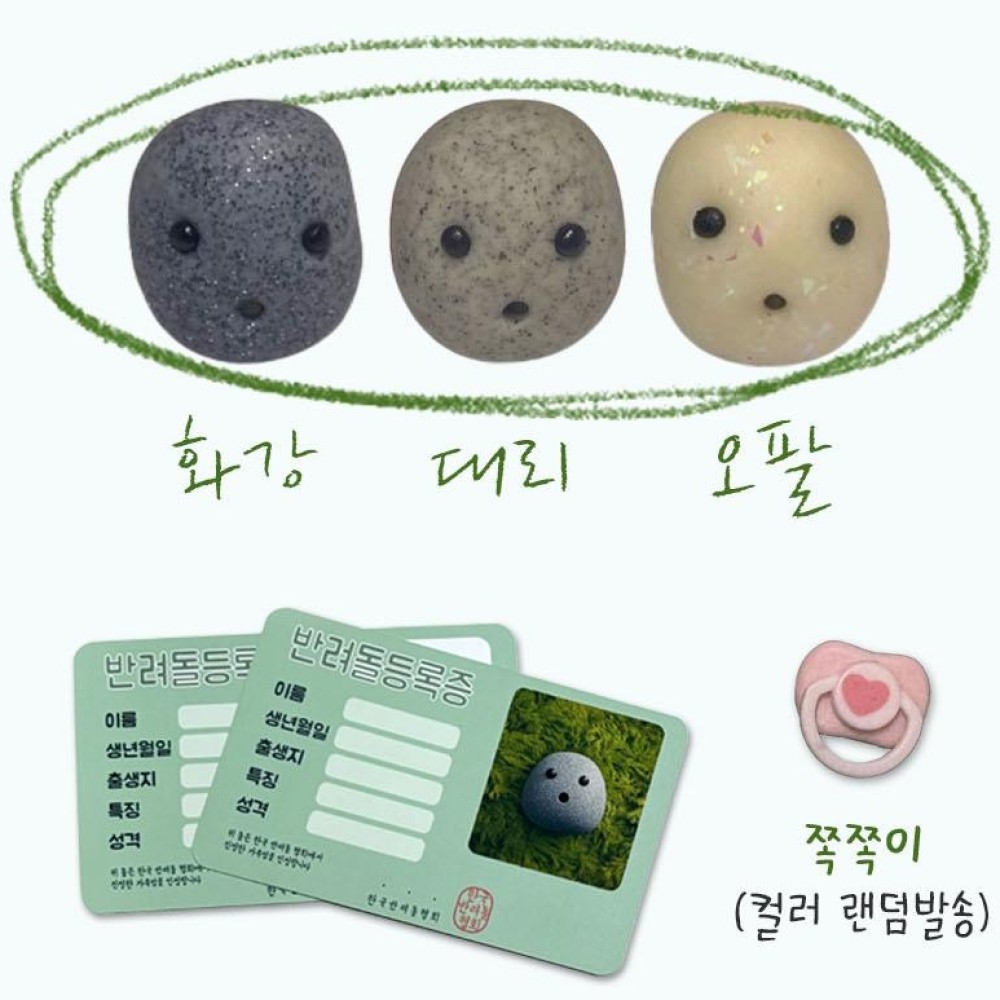 작고 귀여운 나만의 반려돌 수제 애완돌키우기 반려돌꾸미기 친구 어린이 조카 선물 - 상세 이미지 2