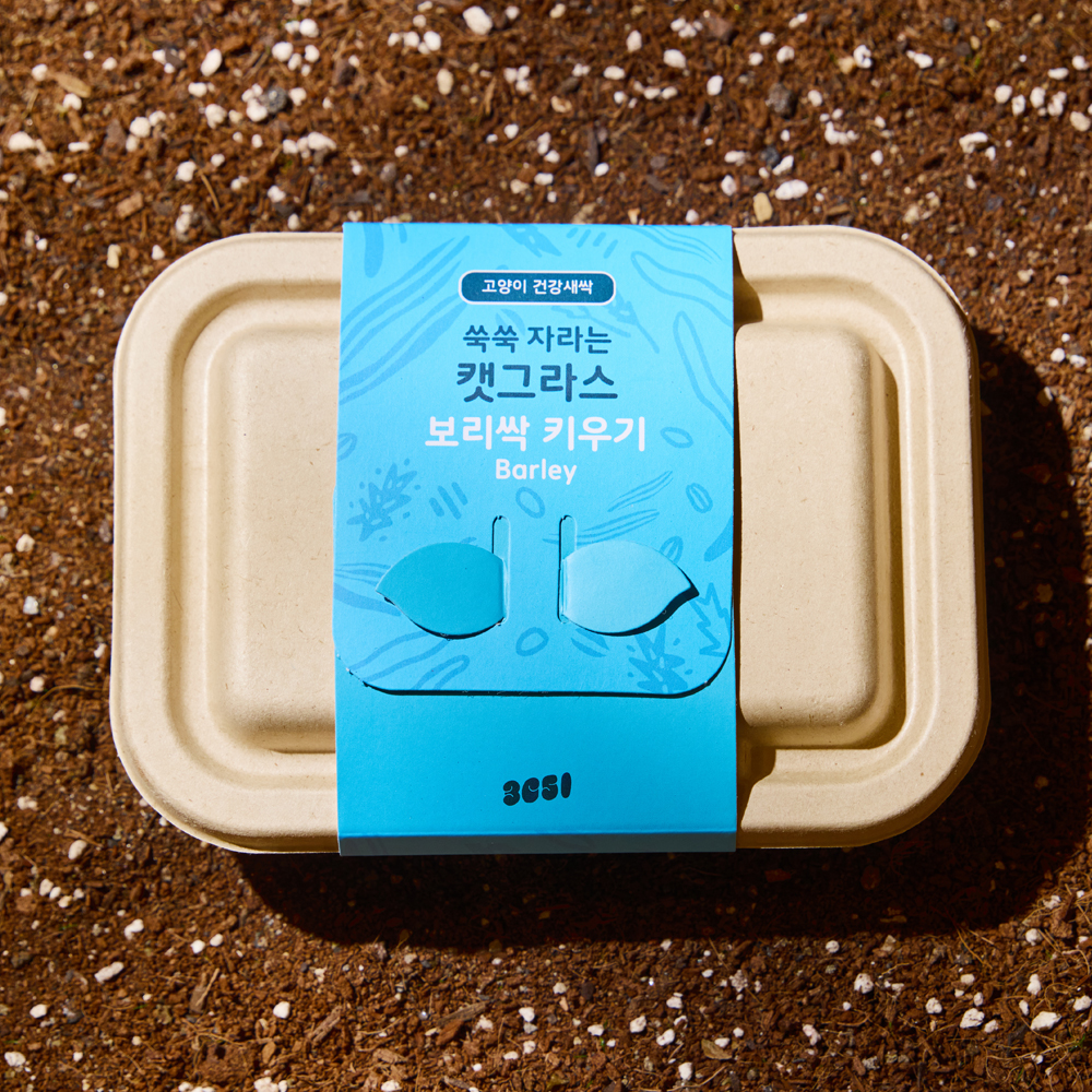 3651 쑥쑥 자라는 캣그라스 키우기 키트 재배세트 보리싹, 160g, 1개 제품 이미지