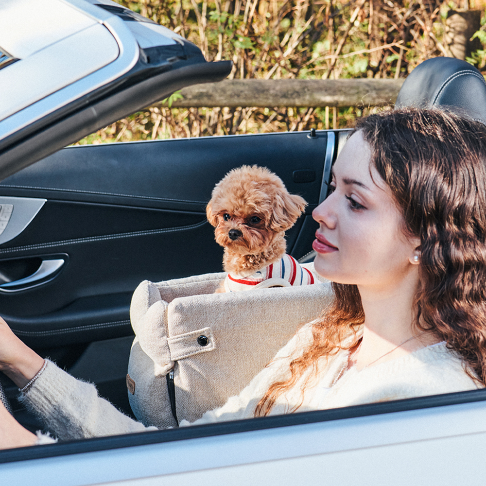 개과천선 루니 강아지 콘솔 카시트 소파지 드라이빙킷 풀커버 차시트 이동장 소형견 이동가방