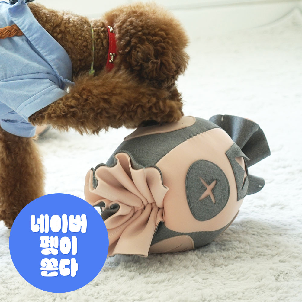 더플래 강아지 노즈워크 코박고 캔디 킁킁볼 장난감