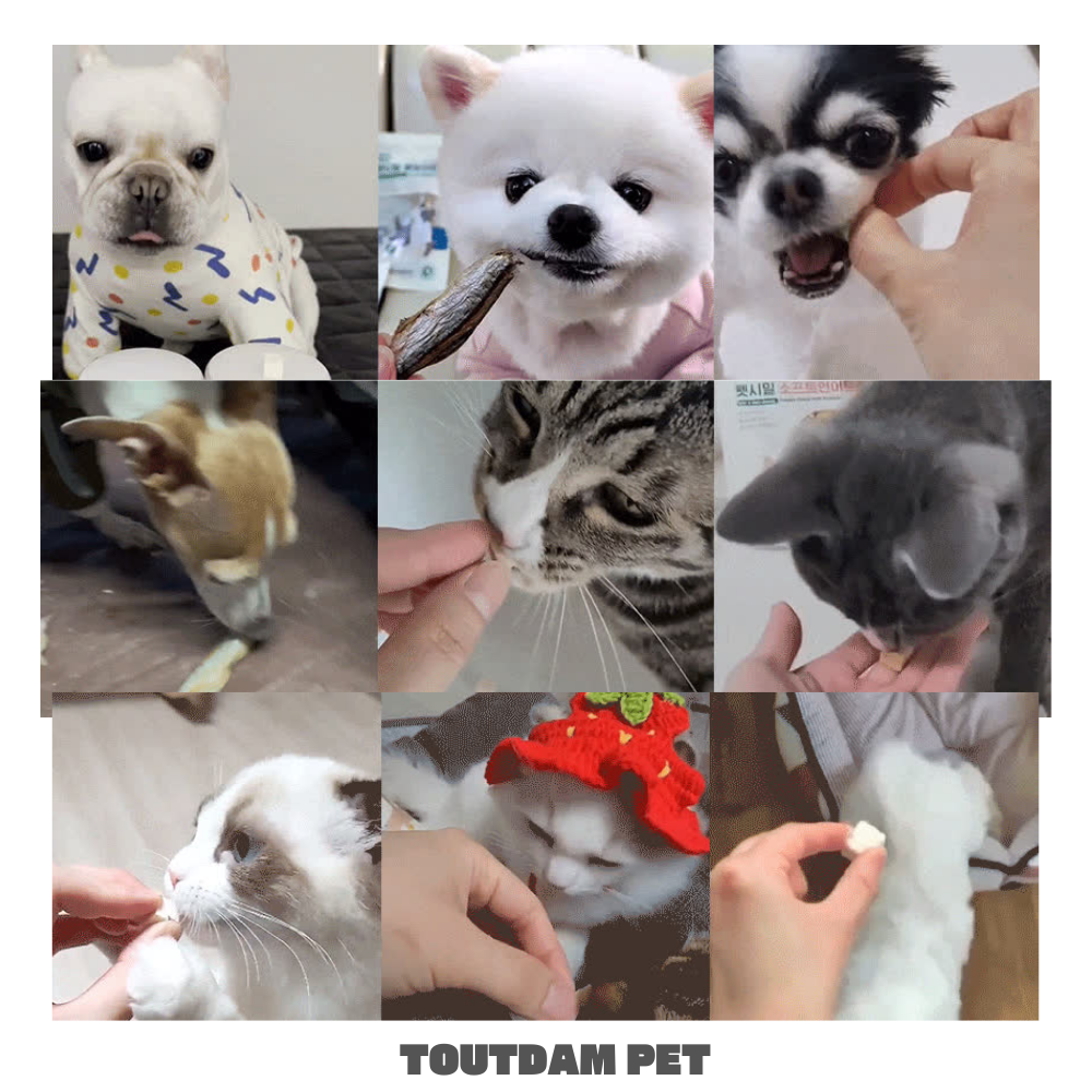 고양이 열빙어 트릿 동결건조 휴먼그레이드 강아지 간식 알배기 빙어 70g - 상세 이미지 3
