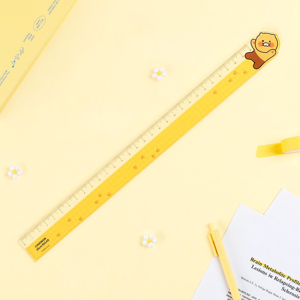 춘식이 30cm 아크릴자 카카오 굿즈 학용품 선물 - 상세 이미지 2