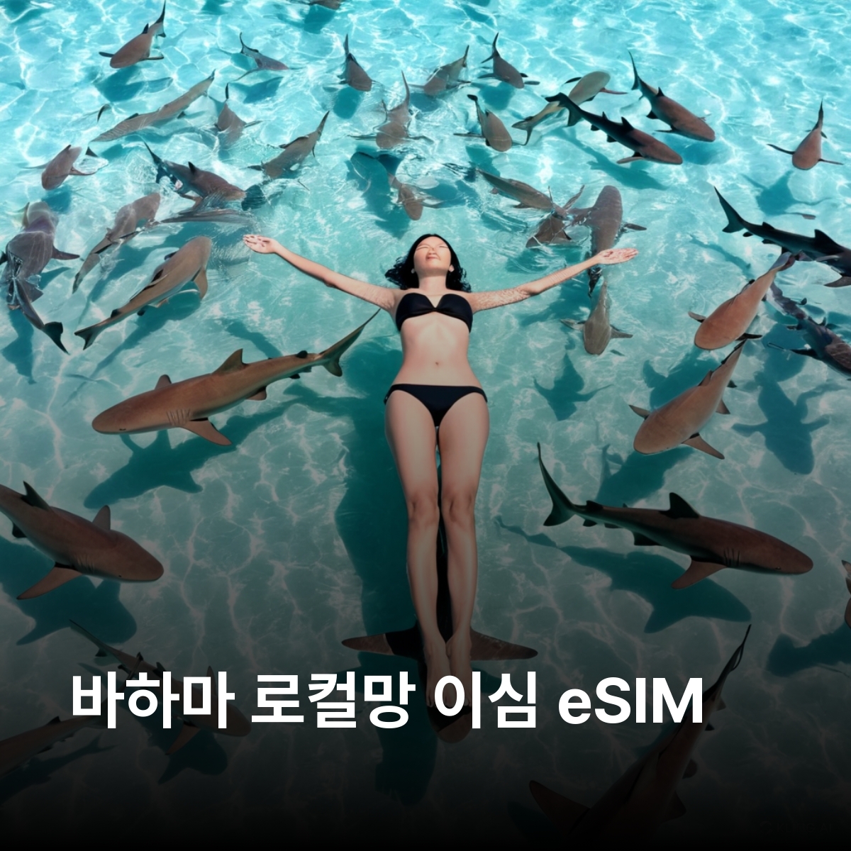 바하마 로컬망 이심 eSIM BTC 나소 돼지섬 엑서마섬 상어섬 Exuma Islands 이심통 - 메인 이미지