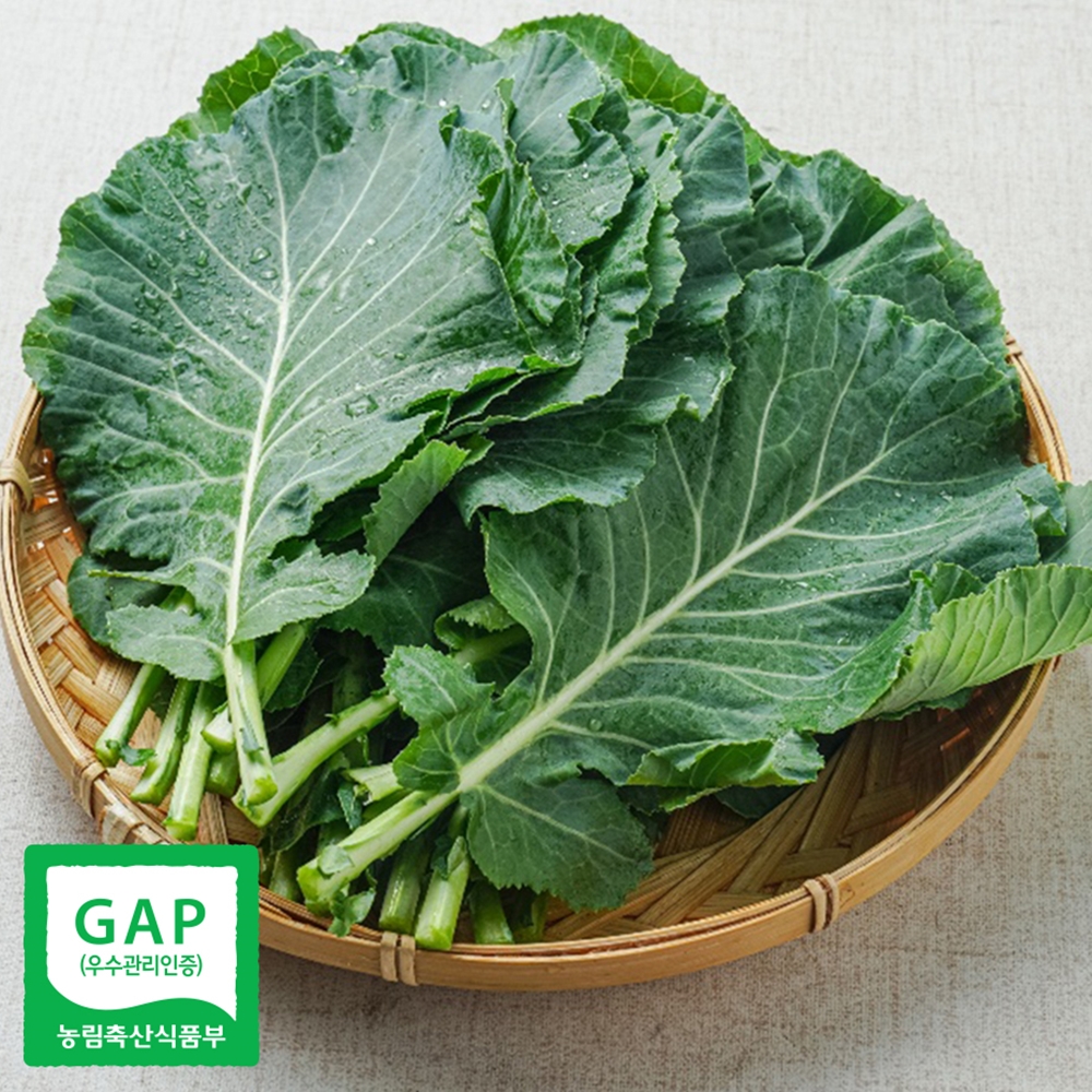 산지직송 케일 쌈용 주스용 쌈케일 1kg 2kg 이미지 8