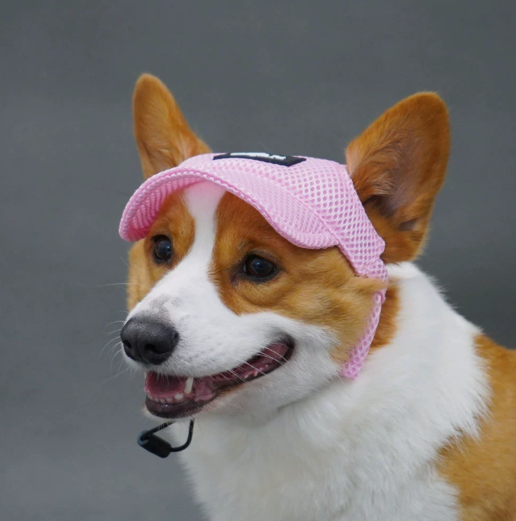 [강아지의 날] 위드레오 애견모자 강아지 고양이 모자 대형견 중형견 자외선차단 그린 XS 이미지 3