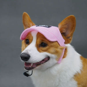 [강아지의 날] 위드레오 애견모자 강아지 고양이 모자 대형견 중형견 자외... 솔직 후기 | 실제 사용자 리뷰 총정리 - 상품 이미지 3