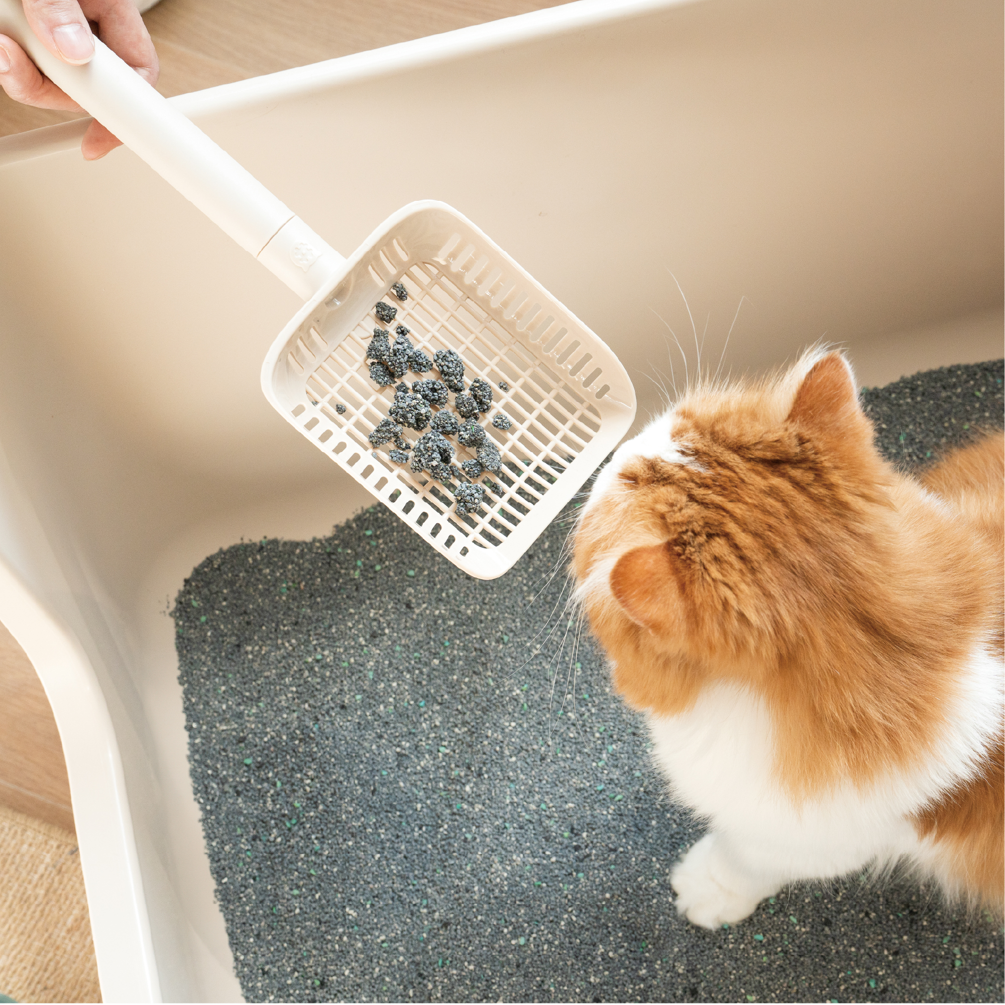 캣츠태그 롱핸들 묘래삽 촘촘하고 긴 손잡이 리필형 이미지 4