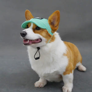 [강아지의 날] 위드레오 애견모자 강아지 고양이 모자 대형견 중형견 자외... 솔직 후기 | 실제 사용자 리뷰 총정리 - 상품 이미지 4