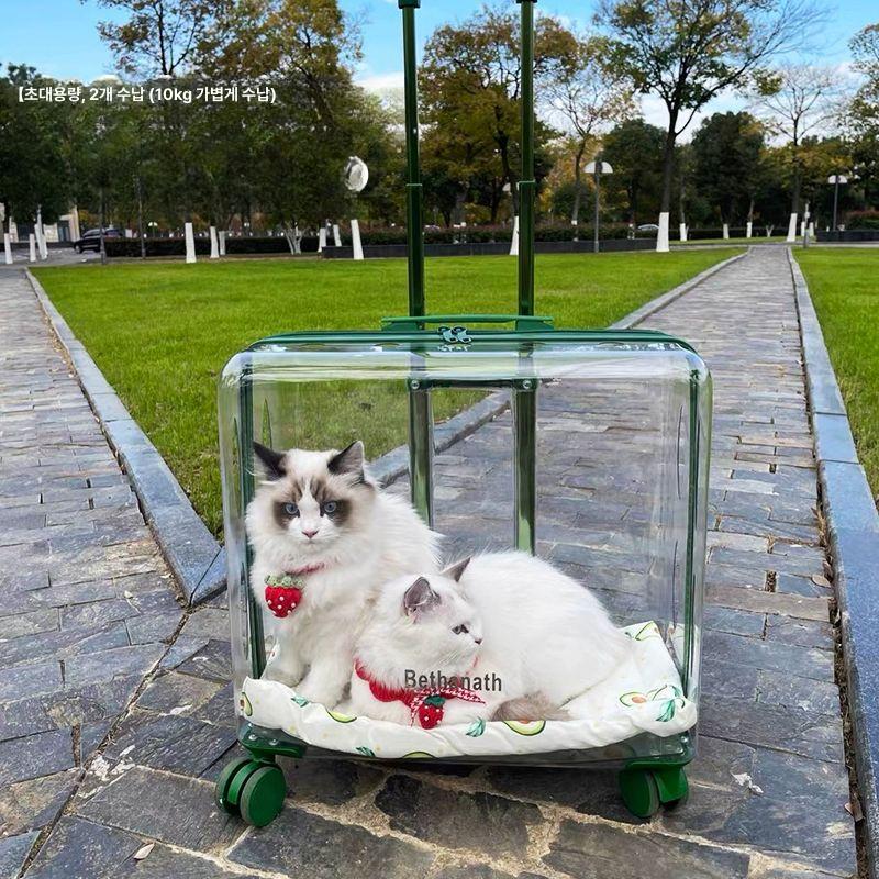 강아지고양이 투명 캐리어 항공 애견 가방 적용 이동가방 소형 화이트 43x26x43cm - 상세 이미지 4