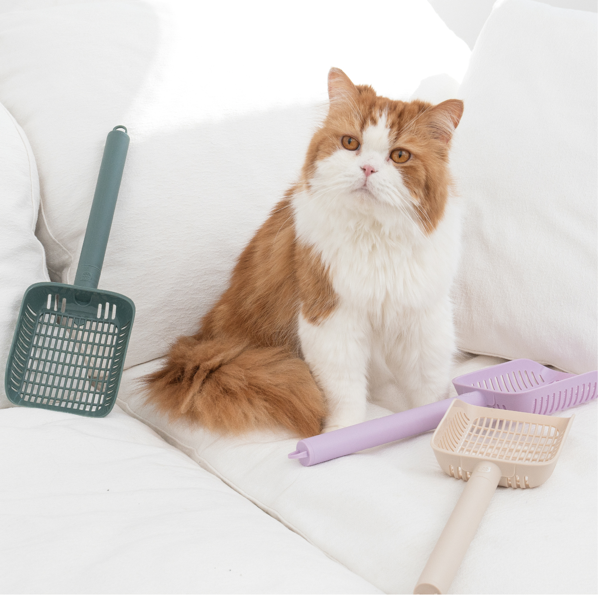 캣츠태그 롱핸들 묘래삽 촘촘하고 긴 손잡이 리필형 이미지 3