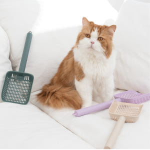 캣츠태그 롱핸들 묘래삽 촘촘하고 긴 손잡이 리필형 솔직 후기 | 실제 사용자 리뷰 총정리 - 상품 이미지 3