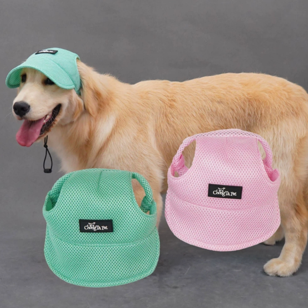 [강아지의 날] 위드레오 애견모자 강아지 고양이 모자 대형견 중형견 자외... 솔직 후기 | 실제 사용자 리뷰 총정리 - 대표 이미지