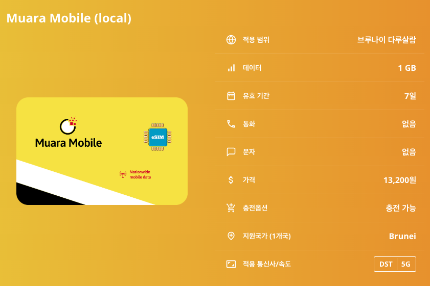 브루나이 다루살람 로컬망 이심 eSIM DST 5G 이심통 - 상세 이미지 5