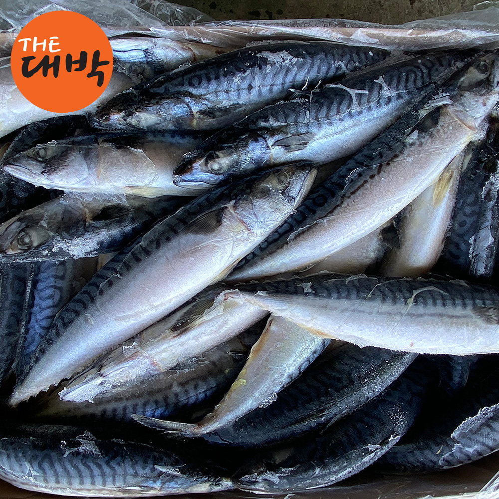 업소용 고등어 20kg 노르웨이 대용량 벌크