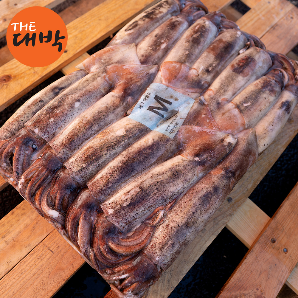 업소용 선동 오징어 원양산 도매 냉동 채낚기