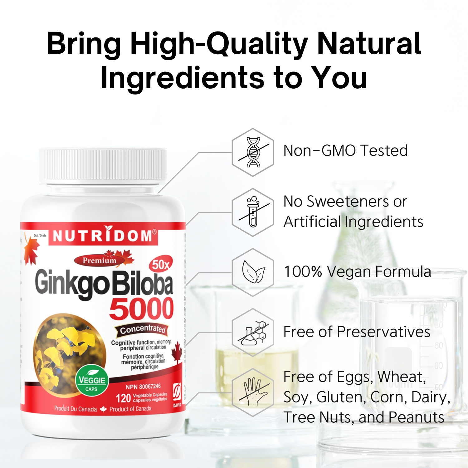뉴트리돔 징코 빌로바 50배농축 은행잎 추출물 5000mg 120캡슐, 1개 이미지 6