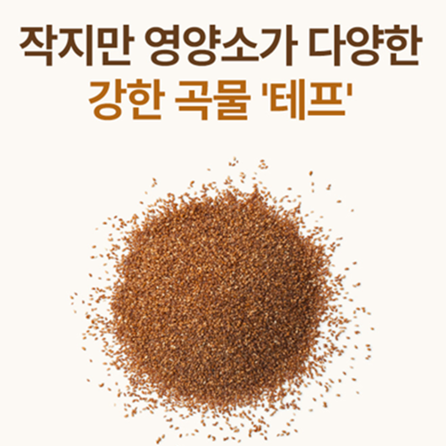 비웰 프리미엄 테프 자연 발효 효소 스틱 30포 6박스 고대곡물 탄수화물 단백질 분해 소화 - 상세 이미지 3