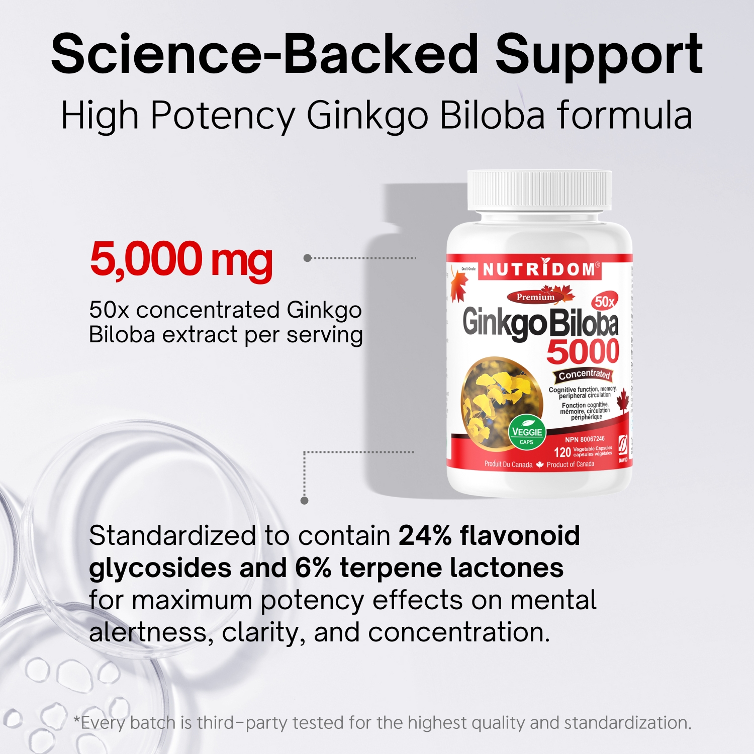 뉴트리돔 징코 빌로바 50배농축 은행잎 추출물 5000mg 120캡슐, 1개 - 상세 이미지 5