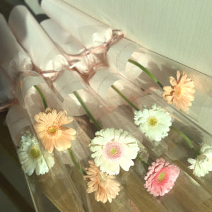 단체 행사꽃 한송이 생화택배 생화꽃다발 대량구매 솔직 후기 | 실사용자 리뷰 분석 - 상품 이미지 4