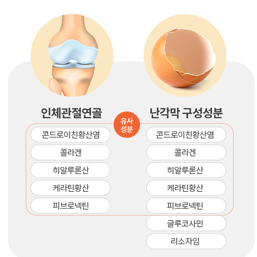 난각막 가수분해물 난간막 효능 콘드로이친 난각막넴 엘라스틴 수용성 60정 - 상세 이미지 4