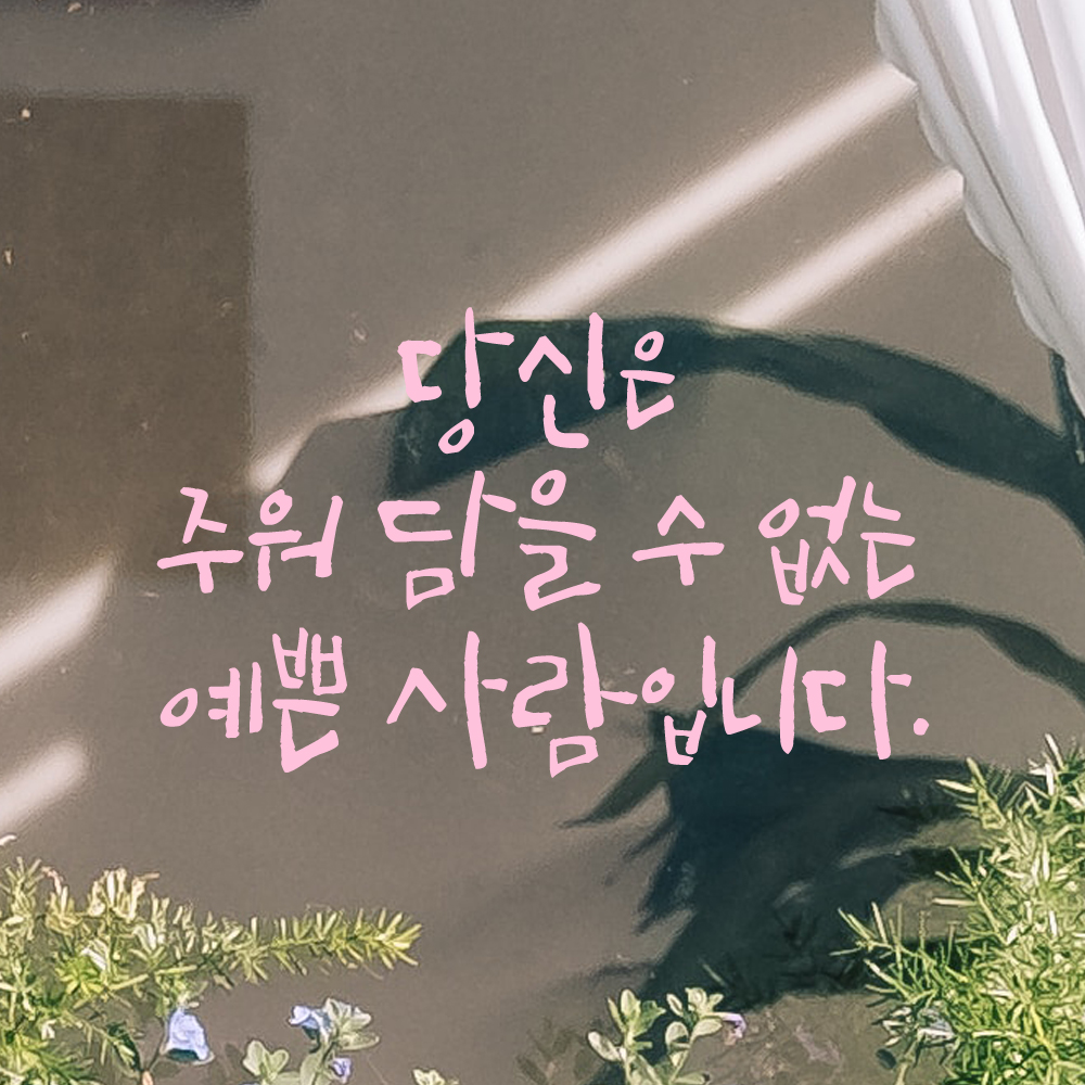 캘리그라피 레터링 스티커 당신은 주워 담을 수 없는 예쁜 사람입니다 검정S - 상세 이미지 3