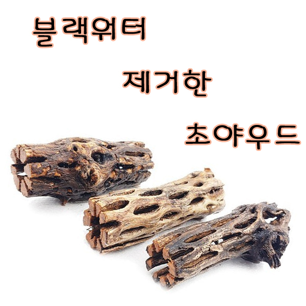 블랙워터 제거한 초야우드 2개 : 아쿠아펫수족관
