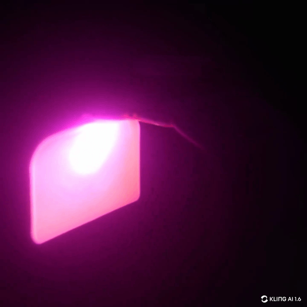 에스테룩스 ESTIHELUX 전문가용 LED 전신관리기 - 상세 이미지 3