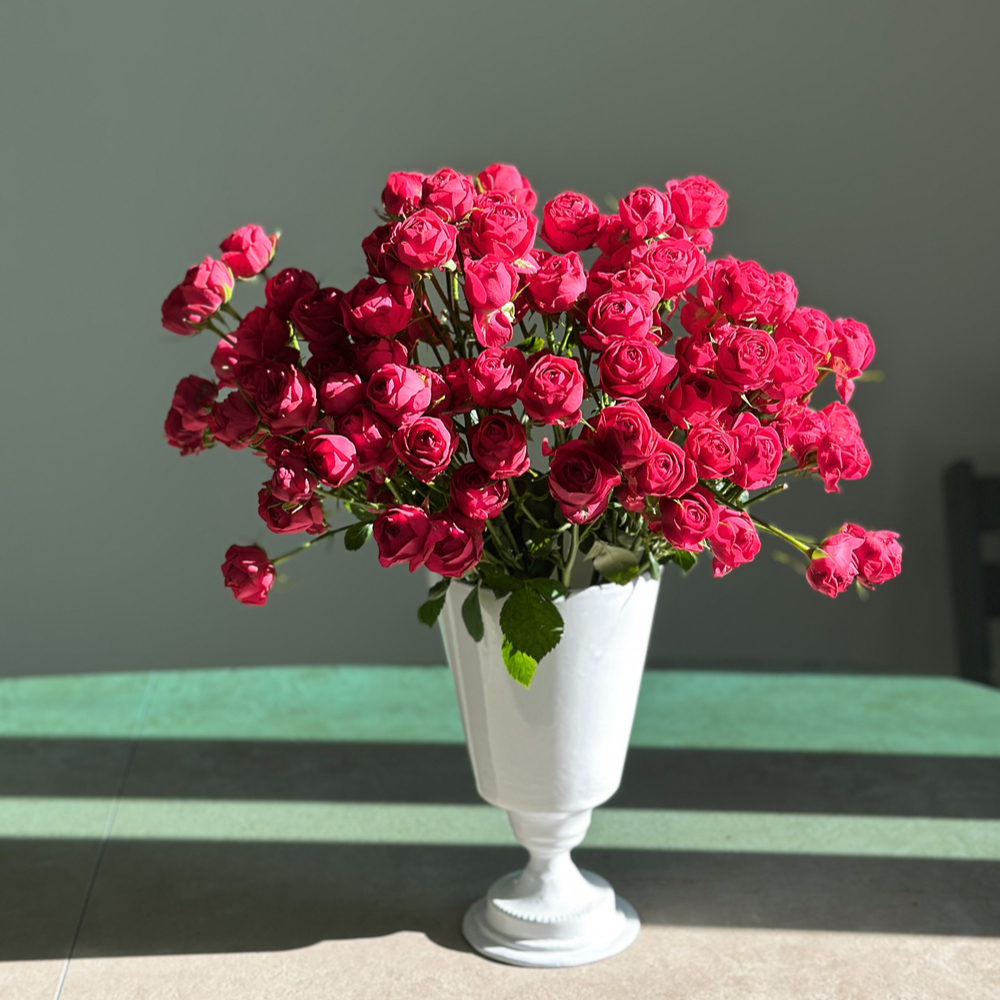 리틀캠든 미니 장미 100송이 생화택배 생화꽃다발 정기구독 이미지 3