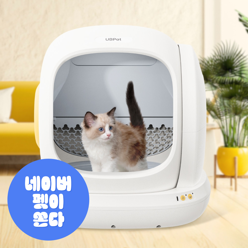 [디클펫] 디클펫 고양이 자동 화장실 두잉
