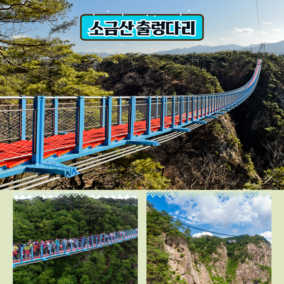[부울경 당일기차] 원주 소금산 그랜드밸리&치악산 구룡사 금강소나무숲길 - 상세 이미지 2