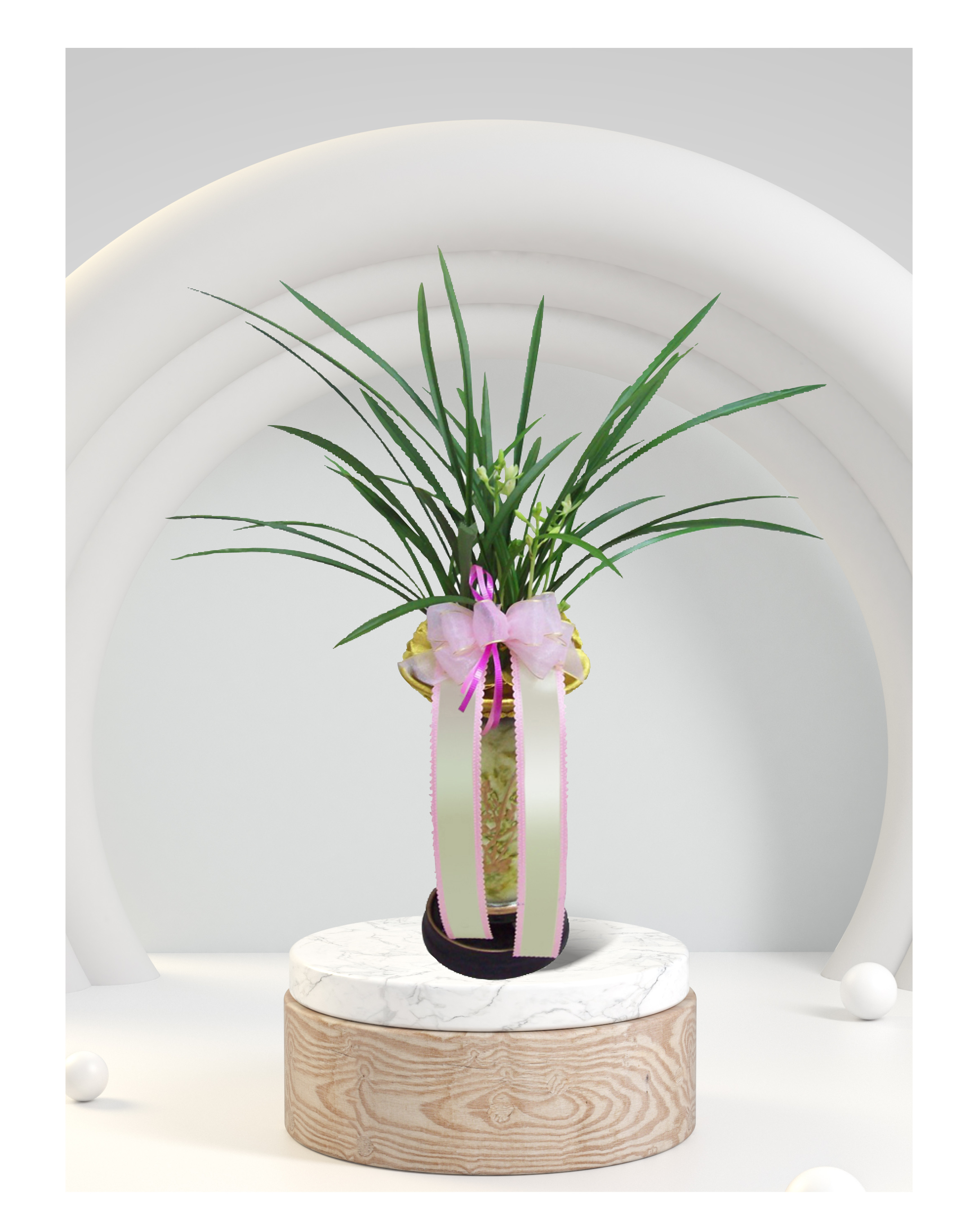 동양란 철골소심 개업 이전 취임 승진 개업식 축하 화분 예도화환 전국 꽃배달 서비스