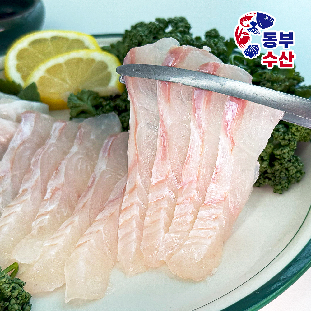 당일작업 숙성광어 필렛 국산 대광어 광어회 250g 500g - 상세 이미지 4