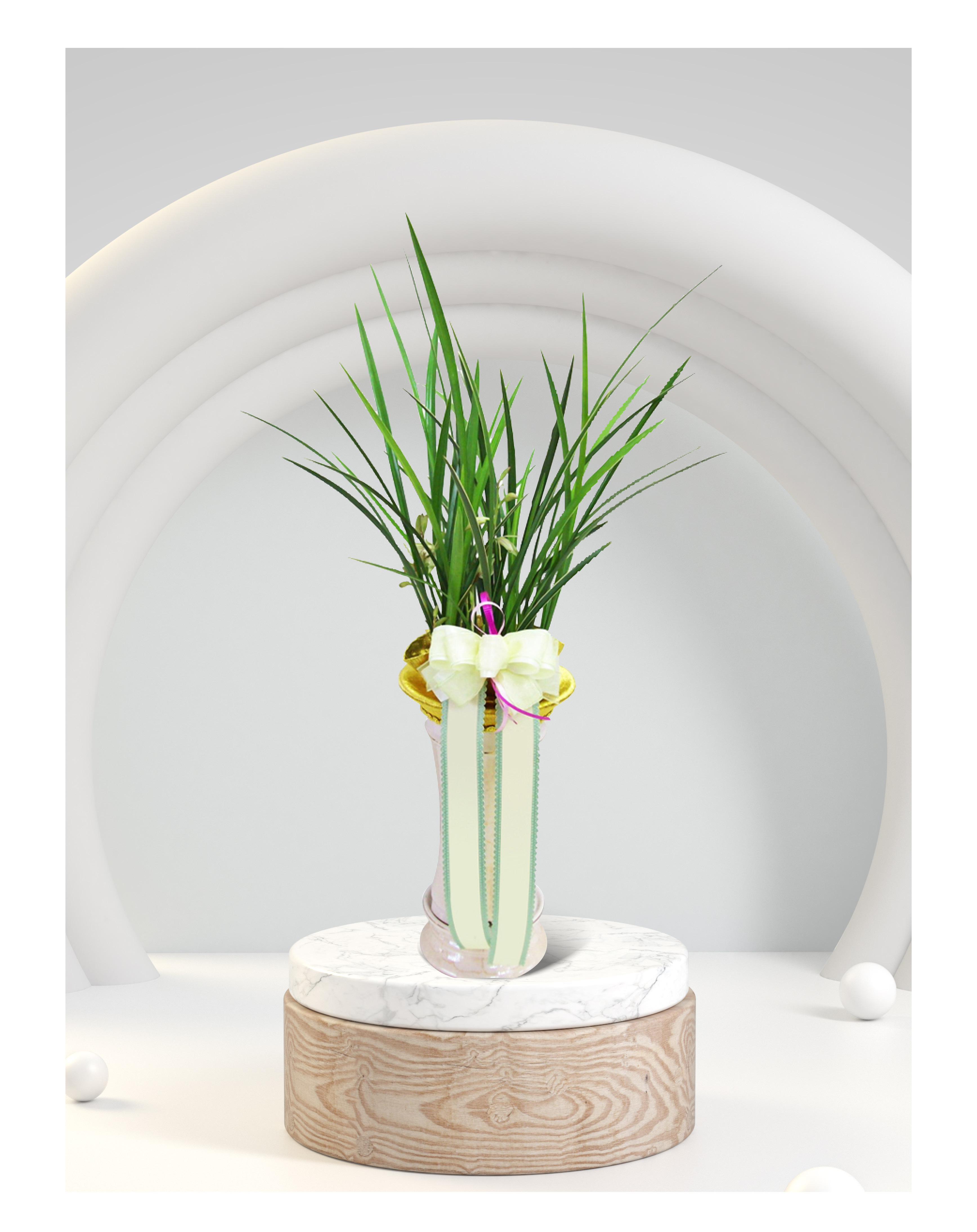 동양란 금침 개업 이전 취임 승진 개업식 축하 화분 예도화환 전국 꽃배달 서비스