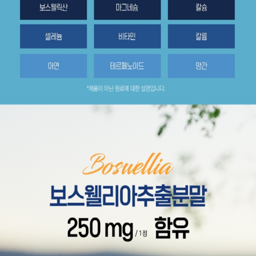 식물성 보스웰리아 콘드로이친 결혼식 거래처 회사 단체 부모님 선물세트 답례품 - 상세 이미지 5