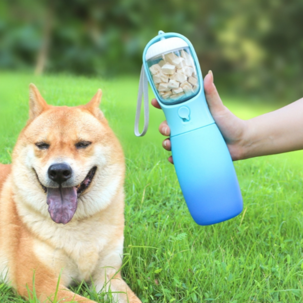 위드레오 2IN1 강아지물병 휴대용물통 간식통 그라디에이션 300ml 블루앤블루 제품 이미지