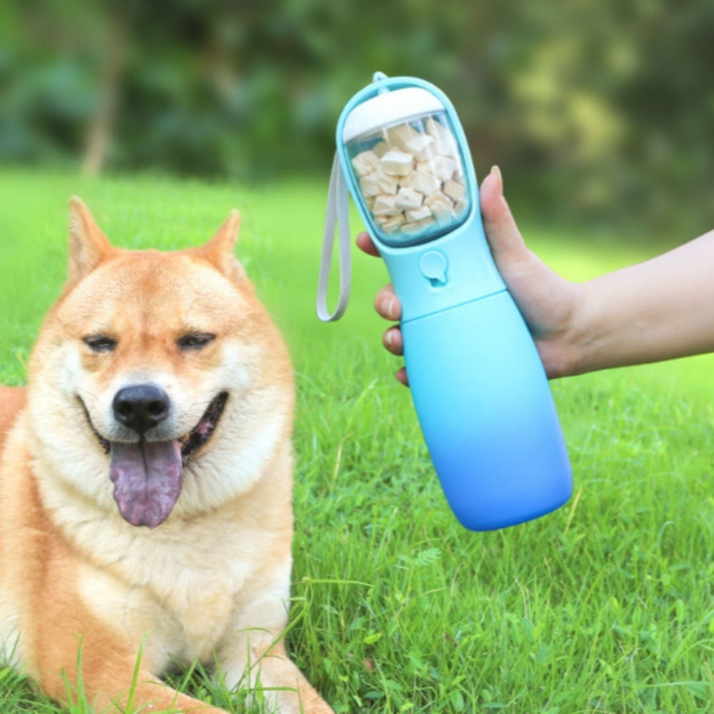 위드레오 2IN1 강아지물병 휴대용물통 간식통 300ml 블루앤블루