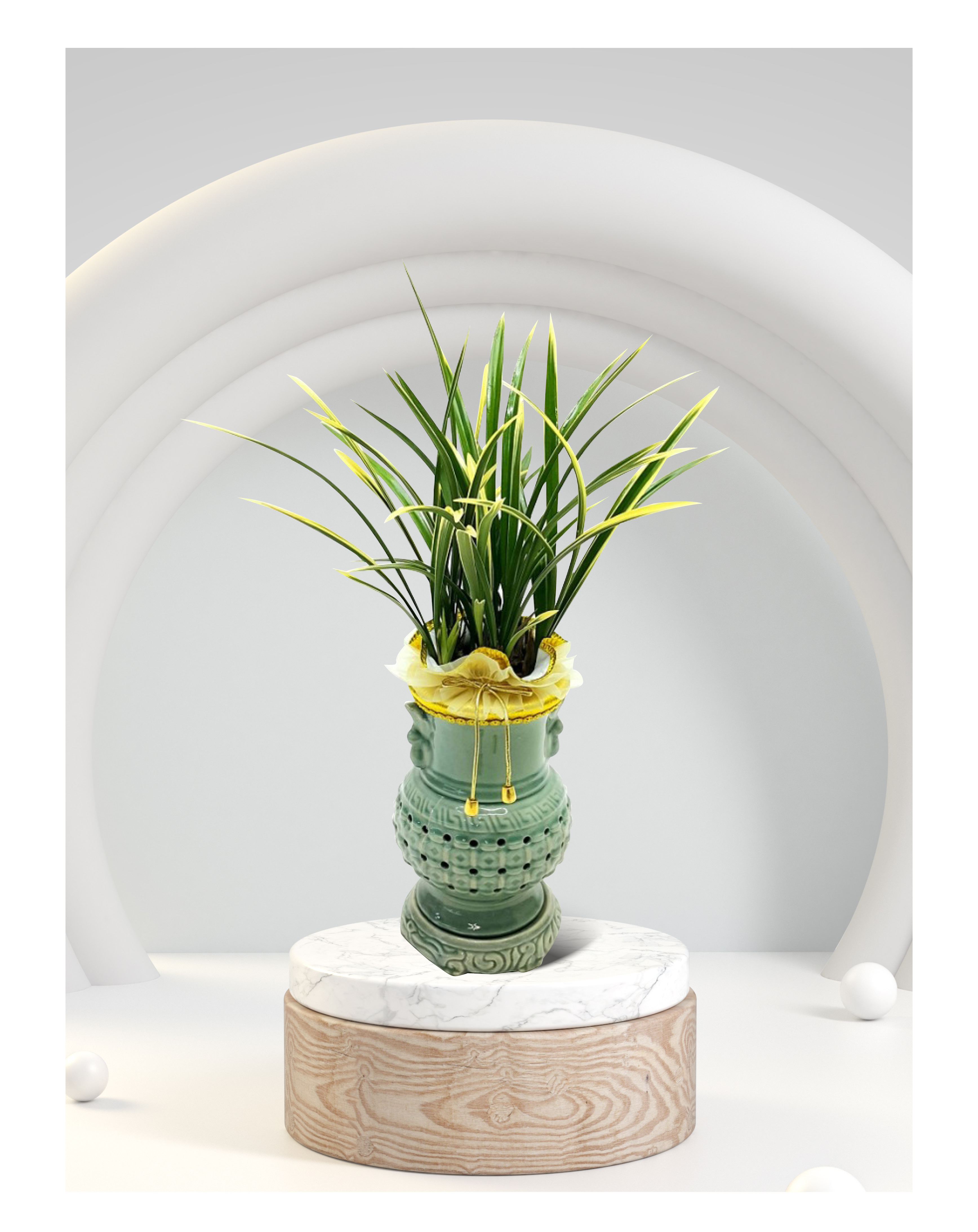 동양란 태양금 투각분 개업 이전 취임 승진 개업식 축하 화분 화환 예도 전국 꽃배달 서비스