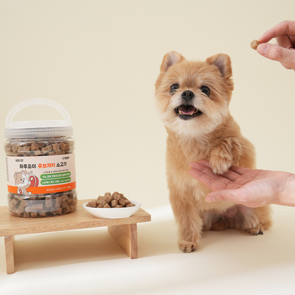 펫생각 큐브져키 대용량 강아지 간식 노즈워크 트릿 칭찬 훈련 쇠고기, 1.1kg, 1개