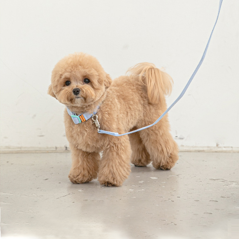 바잇미 강아지 목줄세트 애견 반려견 목줄