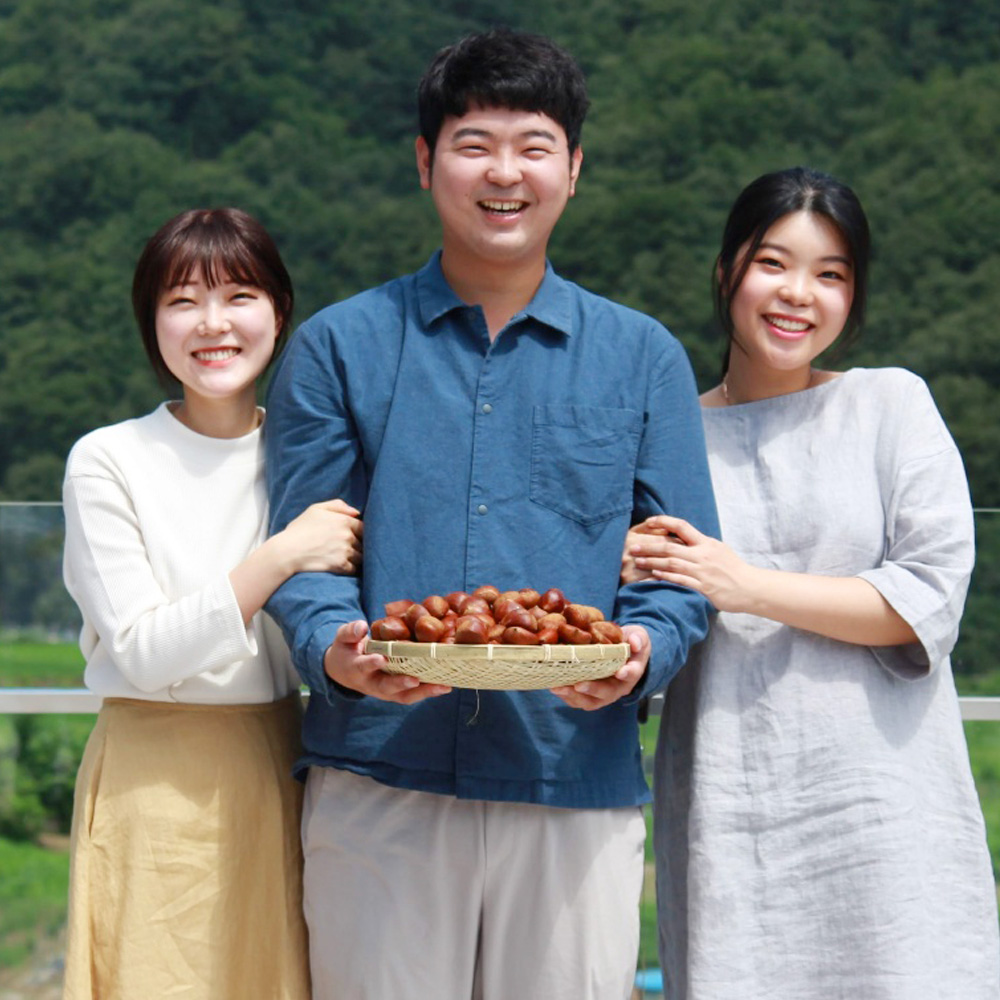 합천 밤파이 수제 디저트 삼남매밤파이 호두파이 답례품 선물세트 6개입