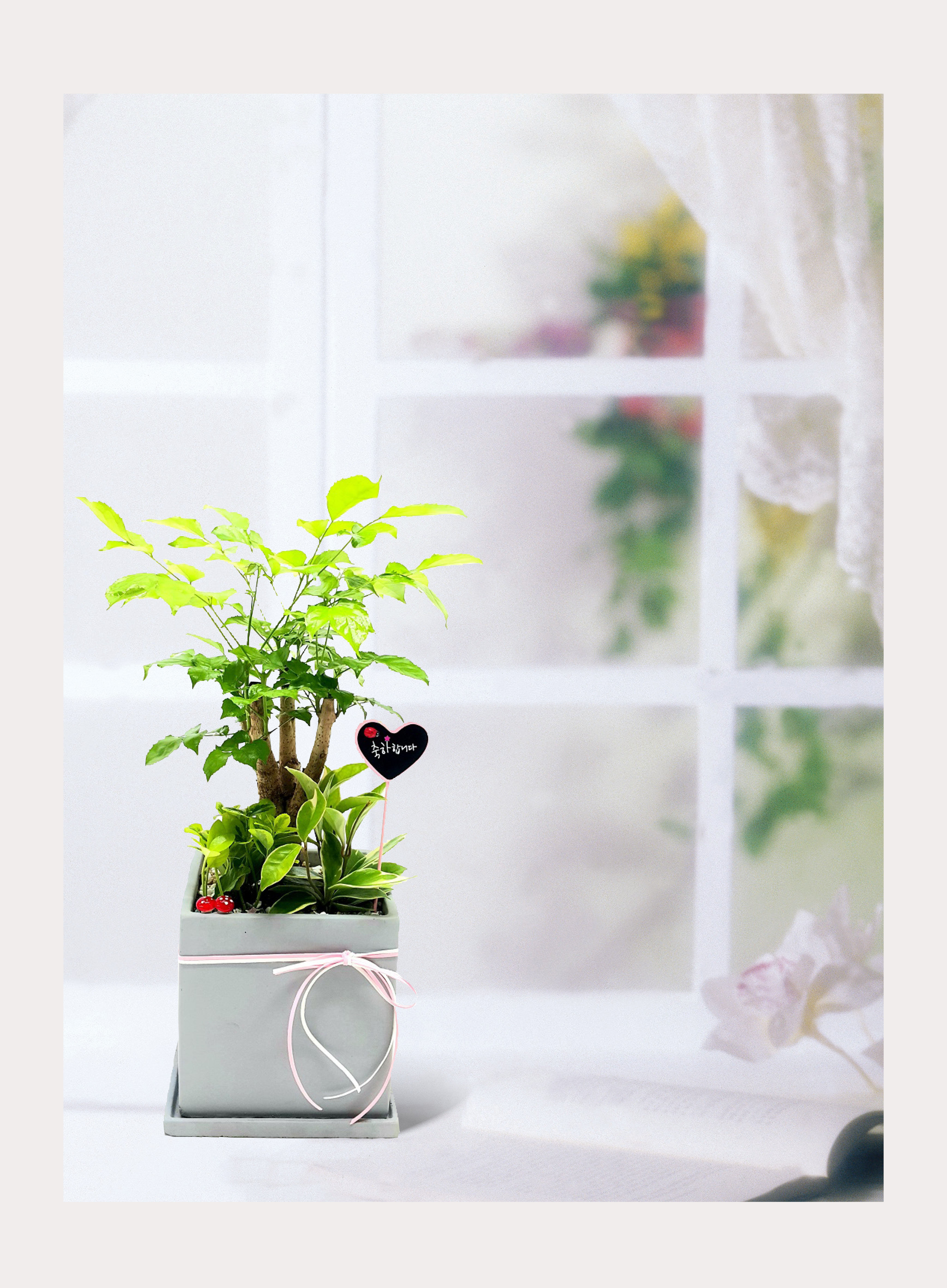 해피트리 탁상용소품 개업 이전 취임 승진 개업식 축하 화분 화환 예도 전국 꽃배달 서비스