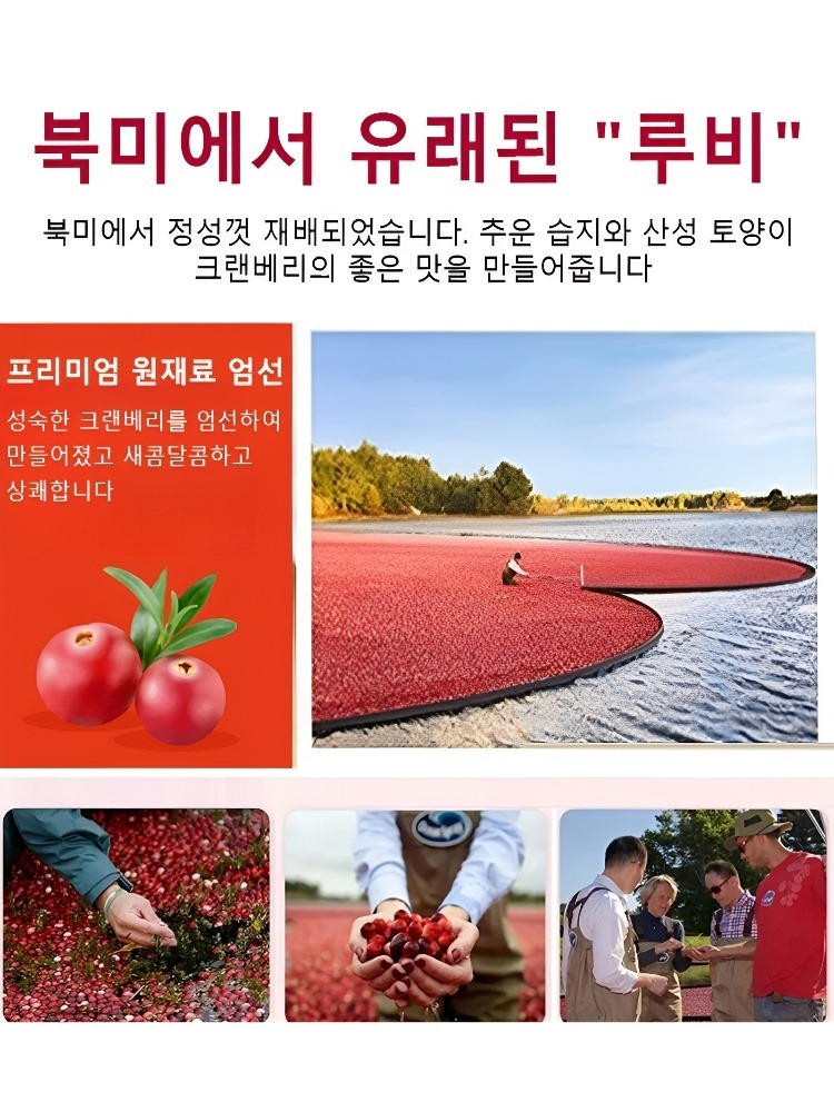 건크랜베리 베이킹용 크랜베리 크랜베리 시리얼 : 리라벨 유한회사