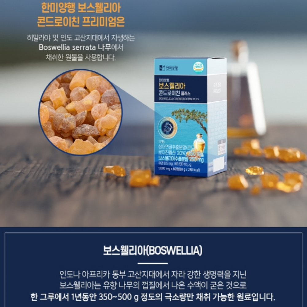 식물성 보스웰리아 콘드로이친 결혼식 거래처 회사 단체 부모님 선물세트 답례품 - 상세 이미지 3