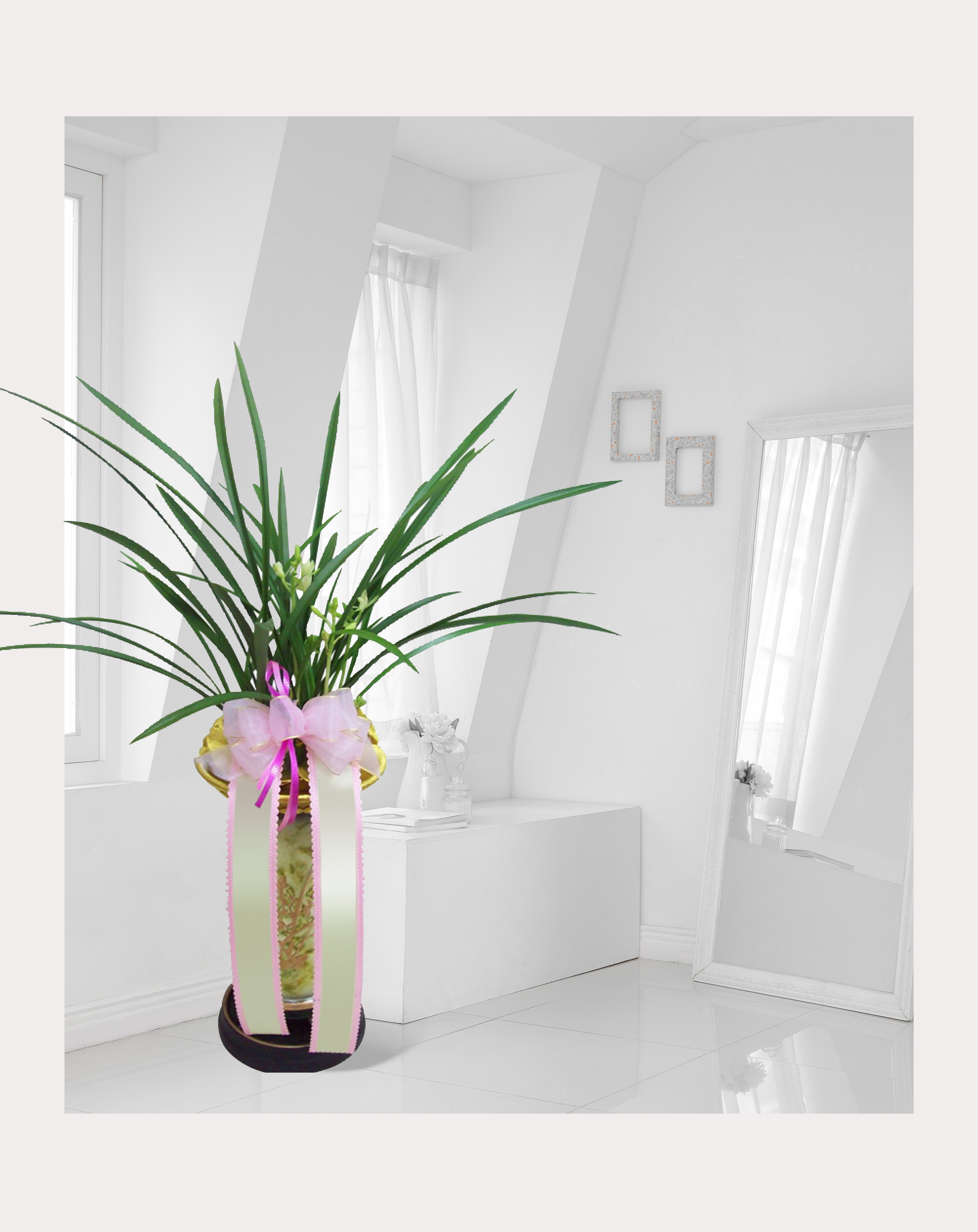 동양란 철골소심 개업 이전 취임 승진 개업식 축하 화분 예도화환 전국 꽃배달 서비스