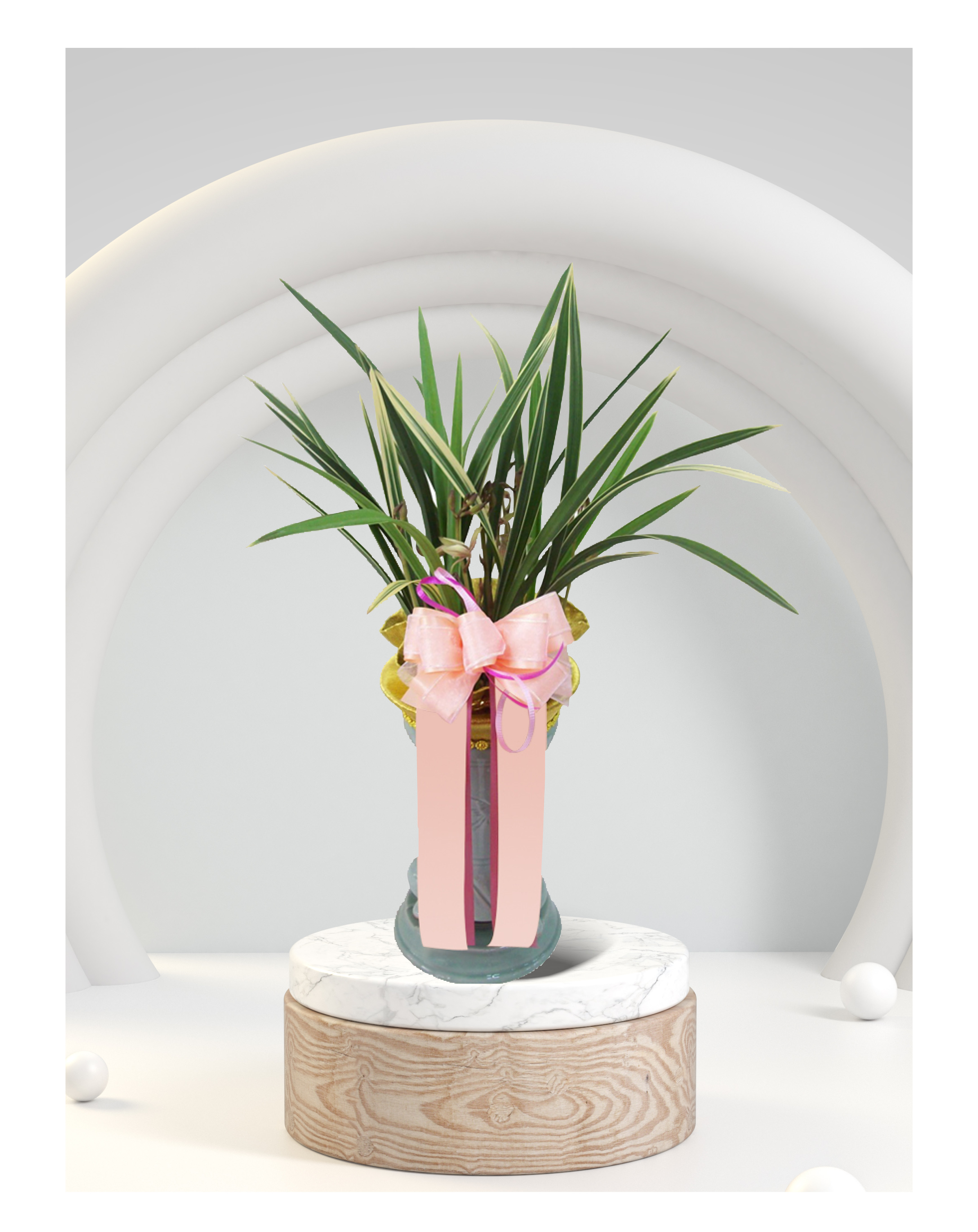 동양란 황금채홍 개업 이전 취임 승진 개업식 축하 화분 예도화환 전국 꽃배달 서비스